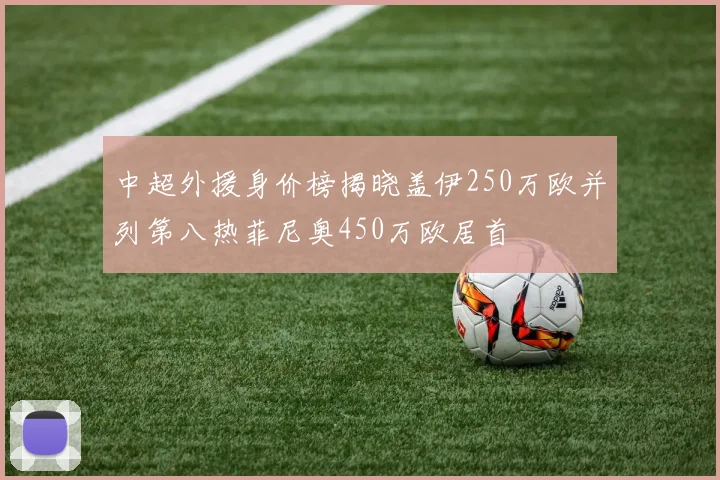 中超外援身价榜揭晓盖伊250万欧并列第八热菲尼奥450万欧居首