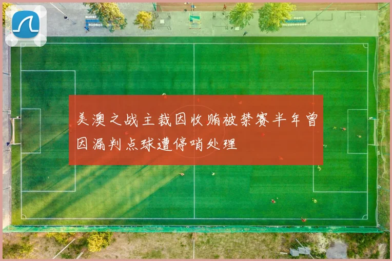 美澳之战主裁因收贿被禁赛半年曾因漏判点球遭停哨处理