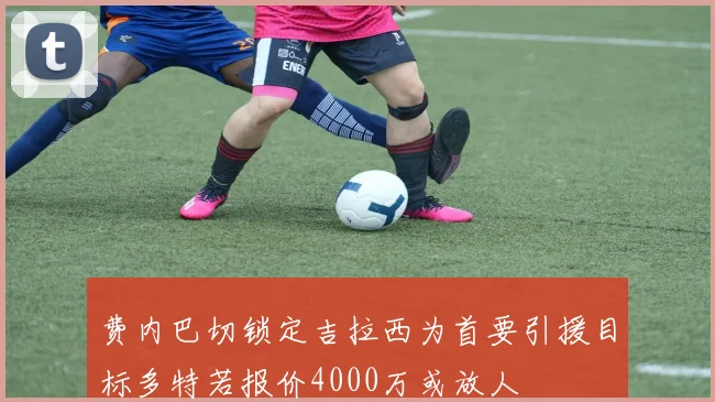 费内巴切锁定吉拉西为首要引援目标多特若报价4000万或放人