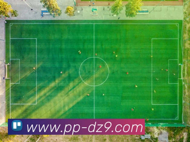 PP电子APP 封面图